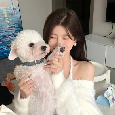 超完美暗杀队